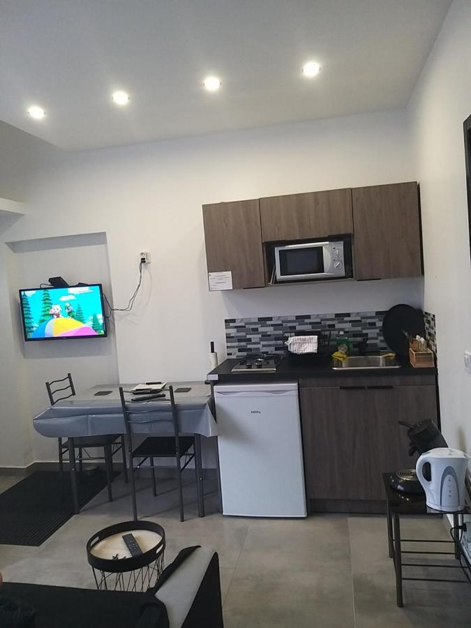 Le Elegance Du Centre Apartment